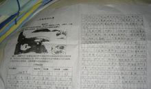 二年级叙事作文：蜜蜂驾到_250字