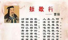 初二作文：论曹操_500字