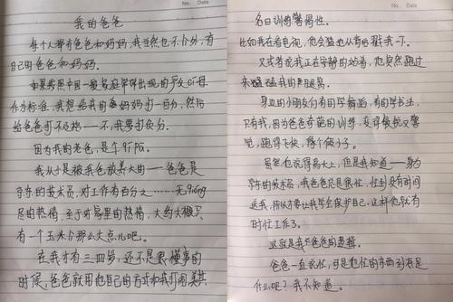 大20个作文：当时，岸边不是中央_1200字