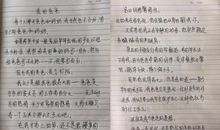 大二作文：时之彼处，岸之未央_1200字