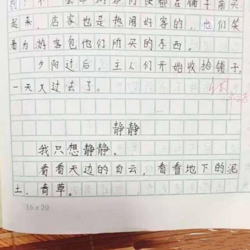 第一工作：闯入蝴蝶_400字