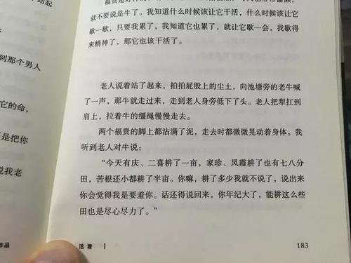 小说_1000字