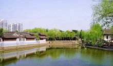 初三作文：何必悲戚，不如醉倒_1200字