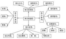 种子的故事[2]_500字