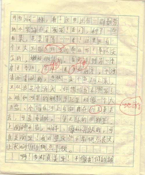 第一工作：“字段”_550字