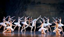 在莫斯科观看芭蕾和马戏_650字