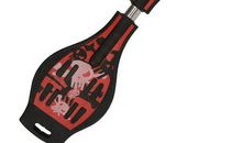 驯服龙板记_2000字