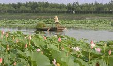 我多想……_450字