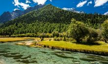 梦中西游记_450字