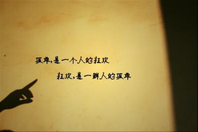 有一个漂亮的孤独_350字