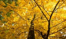 美丽的照片_200字