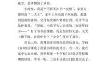 一件高兴的事_500字