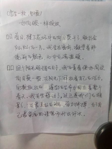 如果我是校长_500字