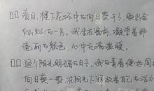 假如我是校长_500字