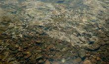 我要喝那清澈的河水_200字