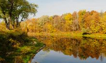 一个深秋的早晨_900字