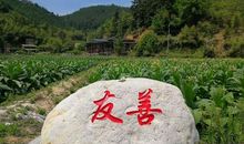 我的故乡溪尾周_450字