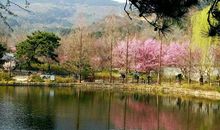 北京香山植物园_250字