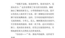 心中的彩虹（片段）_100字