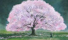 那棵开花的树_1200字