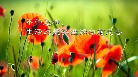 生活需要信心_800字
