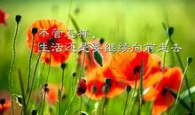 生活需要自信_800字