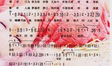 曾经逝去的红颜_1000字