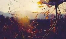 我生活在岁月之中_650字