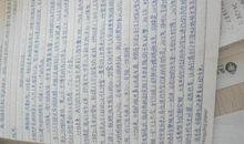 国庆乡下游_500字