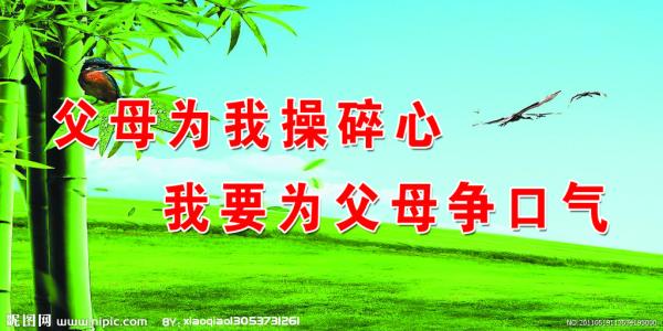 夏季刷新_500字