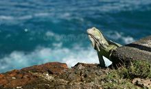 友谊象海水般蒸发_800字