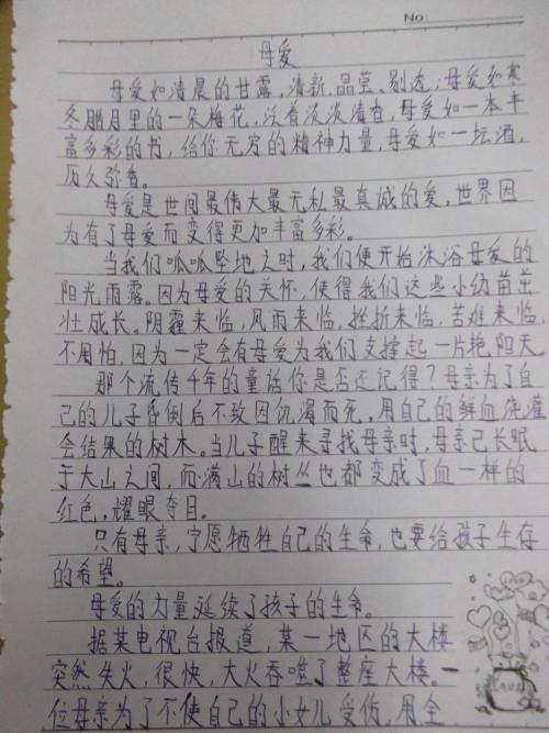 体育等级_450字
