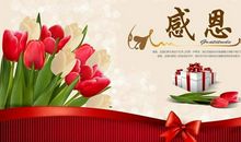 感恩 我的母亲！_500字