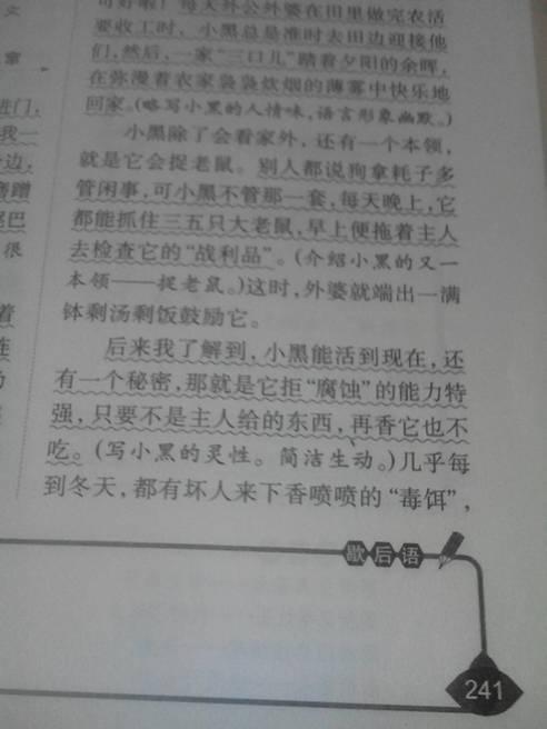 蓝色叶子需要写_250字