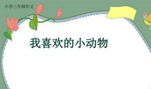 我喜欢的小动物_150字