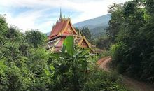 [暑期征文]《遥远的村庄》读后感_1200字