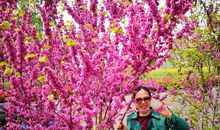 [暑期征文] 善美似甘露，洒满人间——读《雾都孤儿》有感_900字