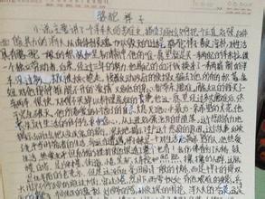 [夏季论文]“骆驼祥子”读完之后_1200字