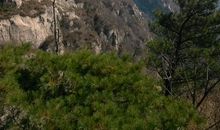 [暑期征文]泰山游记_750字