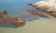 [暑期征文]暑假游记——厦门之行_1000字