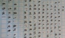 日记一则——?郊游_350字