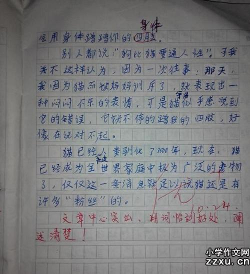 钱已经消失了_200字
