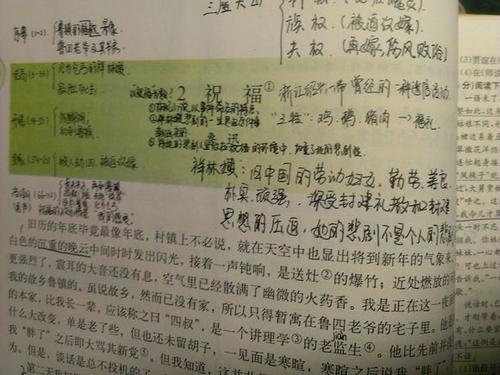 [夏季论文]我忙碌的假期_600字