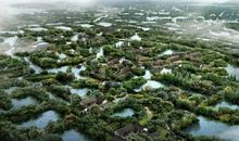 去西溪湿地_250字