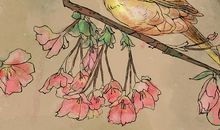 举头望云林，愧听慧鸟语。