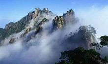 云无心以出岫，鸟倦飞而知还。