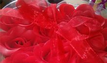 香香的玫瑰花_300字