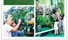 亲子活动——动物模仿秀_450字