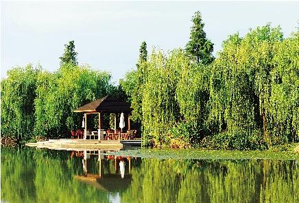 撤退西湖_500字
