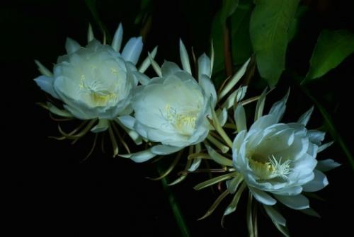 美容一分钟_800字